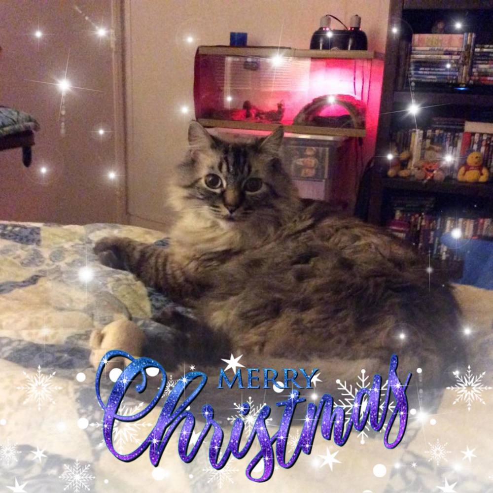 Meet your Posher, Wendy